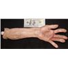 Image 2 : SEVERED SILICONE ARM FOR HAUNT OF INDY FILM 3