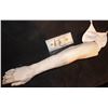 Image 1 : SEVERED SILICONE ARM FOR HAUNT OF INDY FILM 4