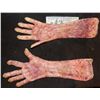 Image 2 : STAR TREK INTO DARKNESS SILICONE ALIEN ARMS WITH HANDS 3