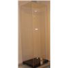 Image 2 : ZZ-CLEARANCE DISPLAY CASE MUSEUM QUALITY TALL ENOUGH FOR MOST ANY DOLL OR PUPPET