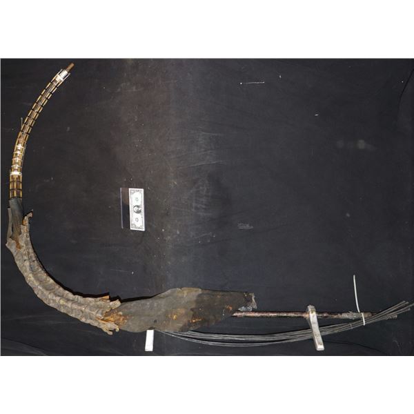 ALIEN VS PREDATOR ANIMATRONIC ALIEN QUEEN TAIL RIG SCREEN USED