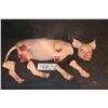 AMERICAN HORROR STORY ROANOKE SCREEN MATCHED CHOPPED UP PIG KEEPER QUALITY GORE PROP