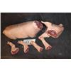 Image 2 : AMERICAN HORROR STORY ROANOKE SCREEN MATCHED CHOPPED UP PIG KEEPER QUALITY GORE PROP
