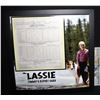 Image 1 : LASSIE TIMMY'S SCREEN MATCHED HERO REPORT CARD NICELY FRAMED