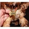 Image 3 : BATES MOTEL NORMAN'S SCREEN MATCHED PET DOG JUNO WITH NAME TAG COLLAR STUNT & STAND IN