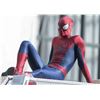 Image 2 : SPIDER-MAN THE AMAZING 2 ARM SUIT PANEL CUT SHORT SUPER HERO