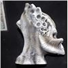 Image 3 : ALIEN VS PREDATOR AVP MINIATURE HEAD