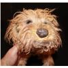 Image 2 : BATES MOTEL NORMAN'S SCREEN MATCHED PET DOG JUNO WITH NAME TAG COLLAR STUNT & STAND IN