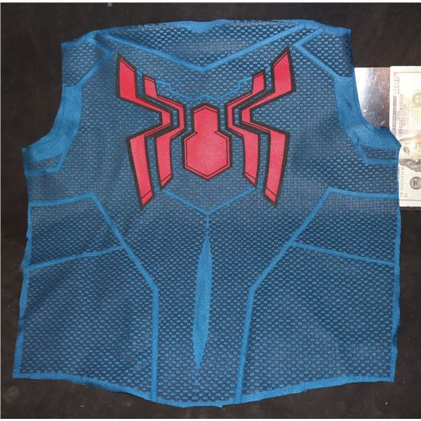 SPIDER-MAN LARGE DISNEY BACK PANEL WITH GLYPHS 5 SUPER HERO