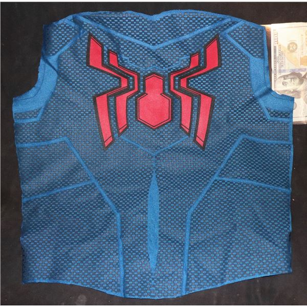 SPIDER-MAN LARGE DISNEY BACK PANEL WITH GLYPHS 3 SUPER HERO