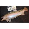 Image 2 : TROUT SPLIT SILICONE FISH PROP FROM UNKNOWN PRODUCTIONS
