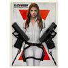 Image 1 : BLACK WIDOW HERO HOLSTER GUN SET IN NICE FRAMED DISPLAY SUPER HERO