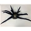 Image 1 : Autograph Thor Hela Stan Lee Helmet