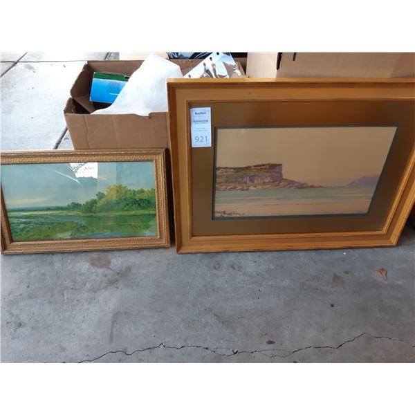 Water Colour by Macgregor Wilson Cat A