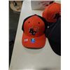 Image 2 : BC LIONS AND OTHER HATS