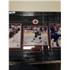 Image 3 : FRAMED OTTAWA SENATORS ALFREDSON, SPEZZA AND HEATLY NHL PRINTS