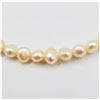 Image 3 : NEW GENUINE FRESHWATER PEARL BRACELET, RETAIL $60.00