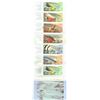 Image 2 : Canada Post Fishing Flies Stamp Booklet - Full Sheet