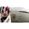 Image 2 : 1 Day Crabbing and Sightseeing on the Chesapeake Bay for up to 6 People