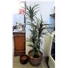 Image 1 : 5' Tall Imitation Plant & 2 Ceramic Pots