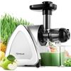 Image 1 : NEW HOMEVER FRUIT AND VEGETABLE JUICER