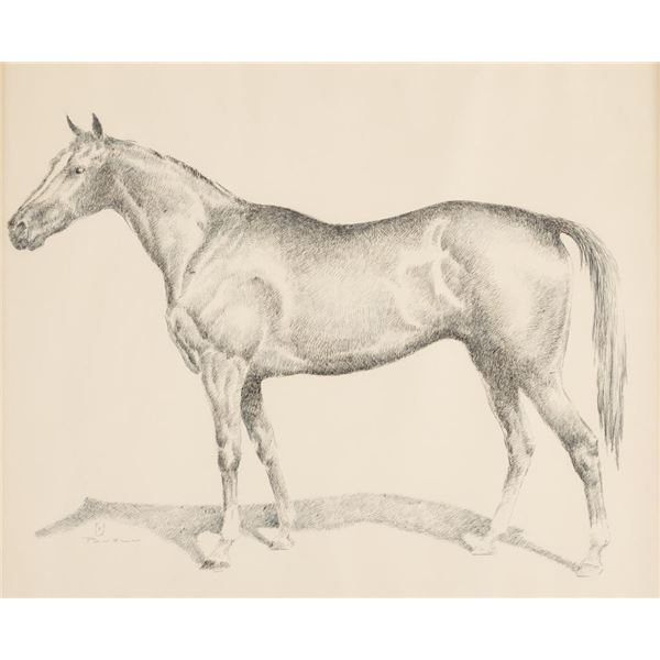 Ace Powell, pen and ink