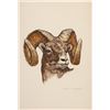 Image 1 : Clark Bronson, two watercolors