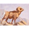 Image 1 : Dave Hodges, oil on canvas