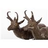 Image 2 : Veryl Goodnight, bronze