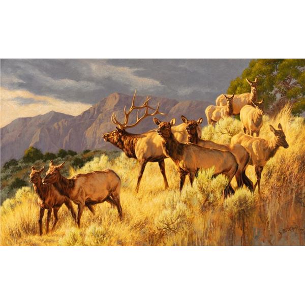 Greg Beecham, oil on board