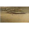 Image 1 : Robert McGinnis, watercolor