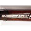 Image 11 : 1873 Winchester