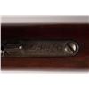 Image 13 : 1873 Winchester