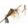 Image 3 : Santee Sioux Pipe and Stem, 40" long