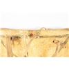 Image 9 : Crow Parfleche Medicine Bundle, 13" x 12"