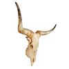 Image 2 : Montana Longhorn Skull