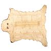 Image 1 : Lakota Painted Buffalo Hide