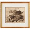 Image 2 : Thomas Moran, etching