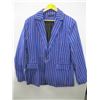 Image 1 : BLUE STRIPED SUIT JACKET