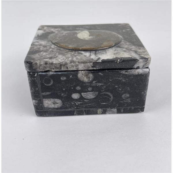 Moroccan Ammonite Fossil Stone Box