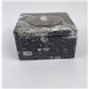 Image 1 : Moroccan Ammonite Fossil Stone Box