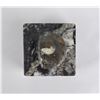 Image 5 : Moroccan Ammonite Fossil Stone Box