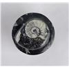 Image 4 : Moroccan Ammonite Fossil Stone Box