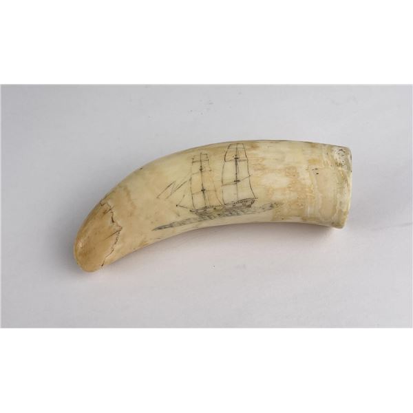 Antique Sailor Scrimshawed Whale Tooth
