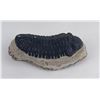 Image 3 : Moroccan Fossil Trilobite