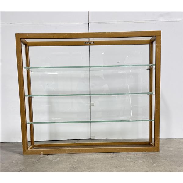 Antique Scientific Glass Wood Display Cabinet