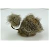 Image 2 : Coyote Fur and Leather Lion
