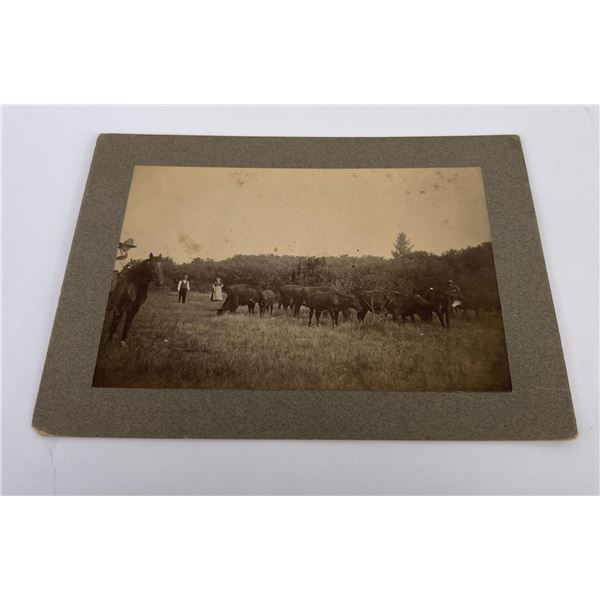 Crandon South Dakota Photo Cattle Ranchers
