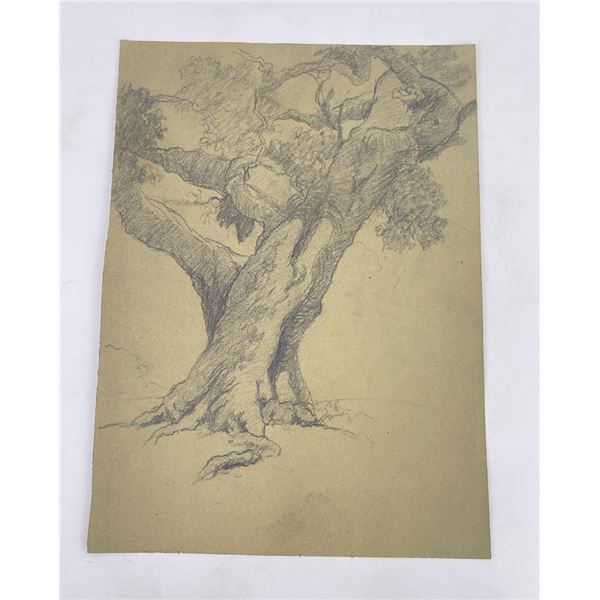Frederick Kress Drawing Study California