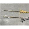 Image 8 : Pair of Contemporary Indian Made Arrows